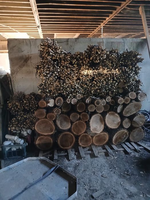 Дрова Карагач рубленные Алматы