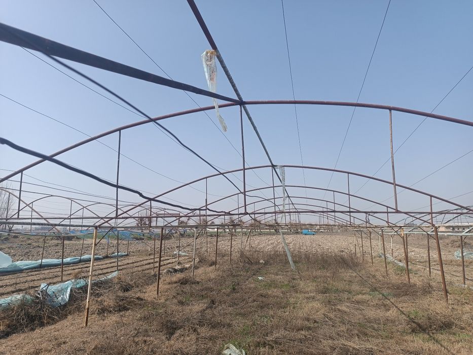 Issiqxona sotiladi faqat klyonkasi yuq boshqa xamma narsani bor