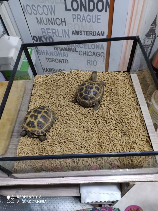 Аквариум Терариум изготовляем