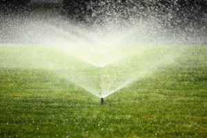 Томчилатиб сугориш ва газонлар учун монтажа