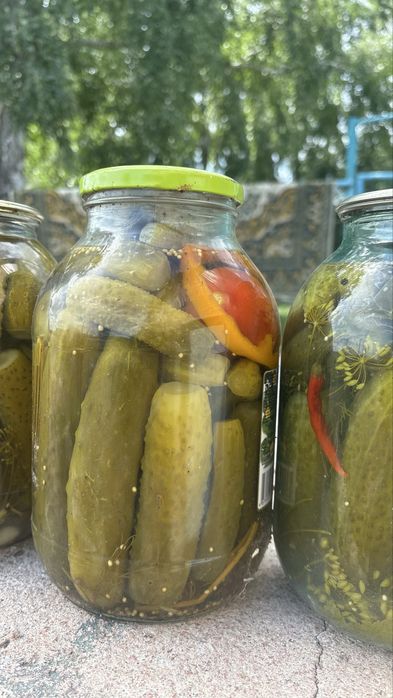 Огурцы соленые хрустящие вкусные