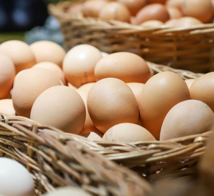 Домашние яйца от черных куриц