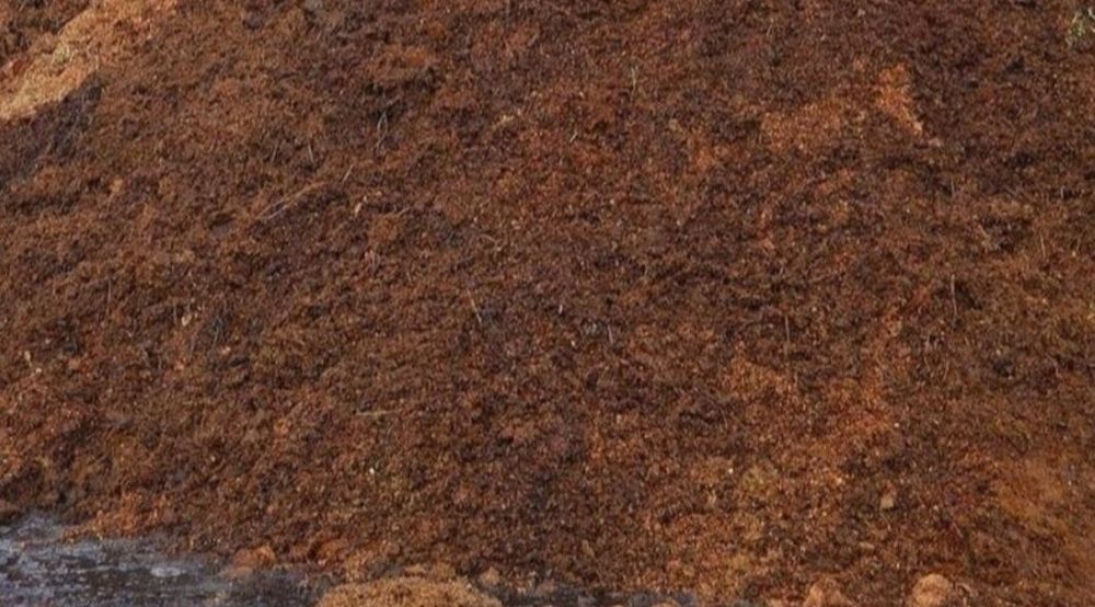 Көң Навоз навоз навоз көң