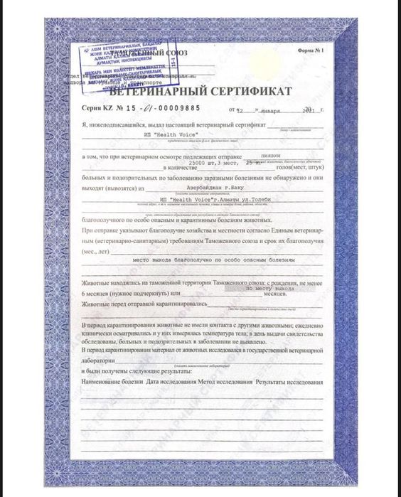 бакинские пиявки