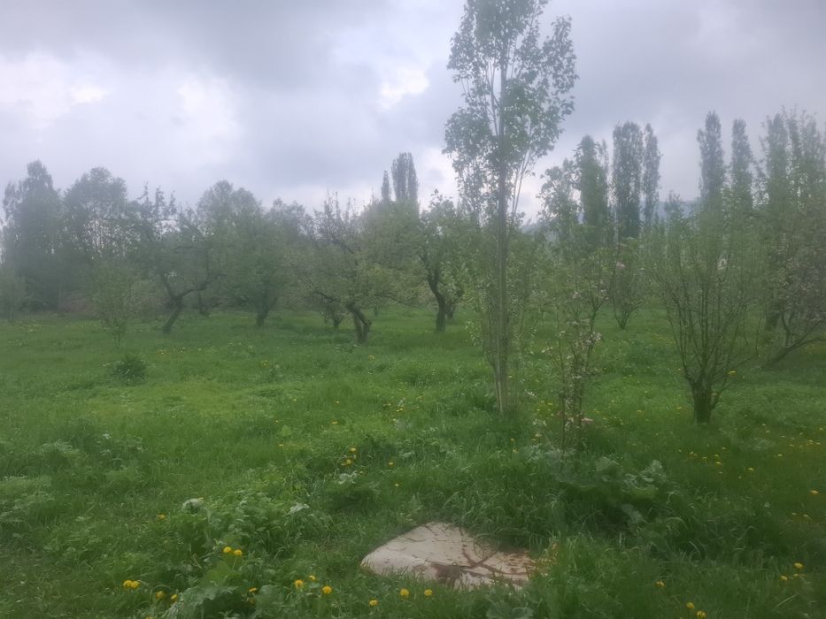 Жер сатылады 80 соттық