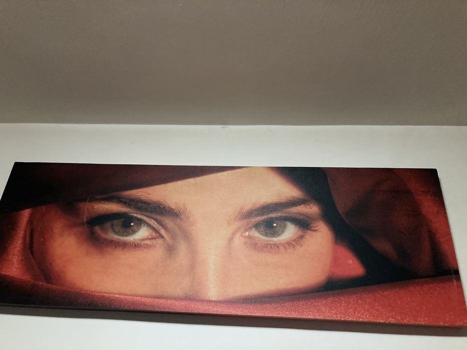 Vand tablouri stare buna le dau deoarece ma mut