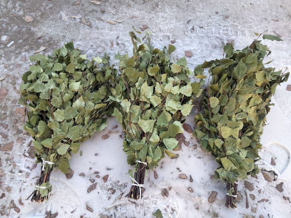 Продам берёзовые веники