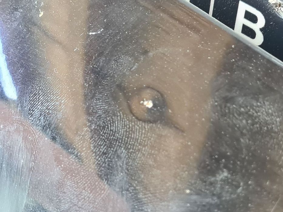 Capota Honda CR - V III 2006 - 2010 SUV 4 Usi NEGRU (754) NECESITA REPARATII