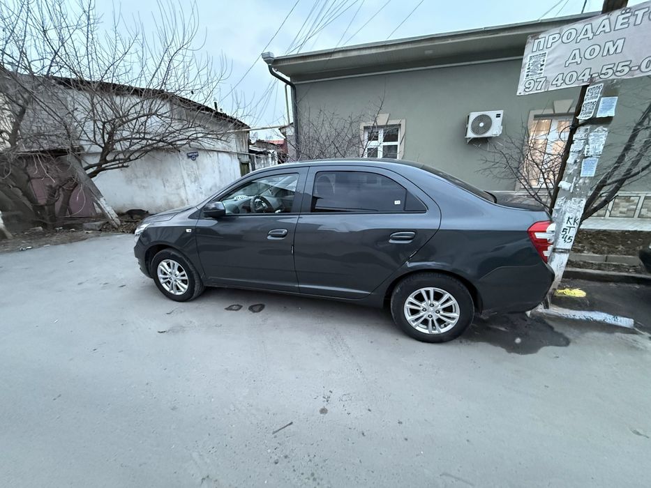 Продам кобаль 2024 гола