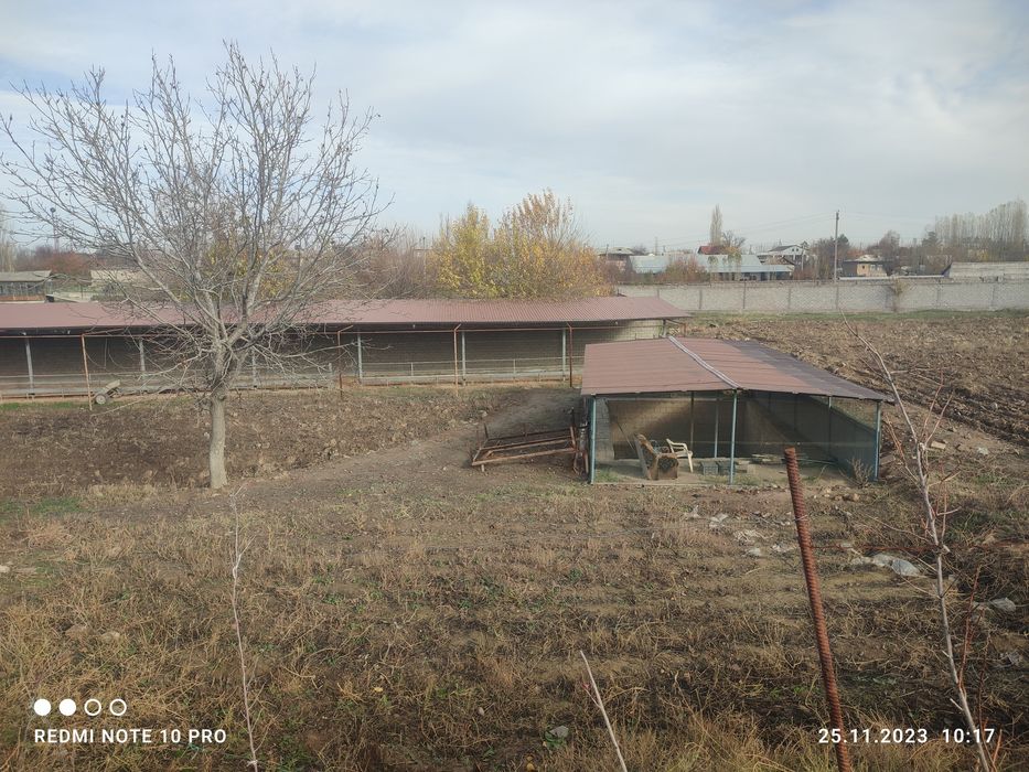 70 sotihli hovli va mini ferma.Havosi toza.Manzarali joylar.