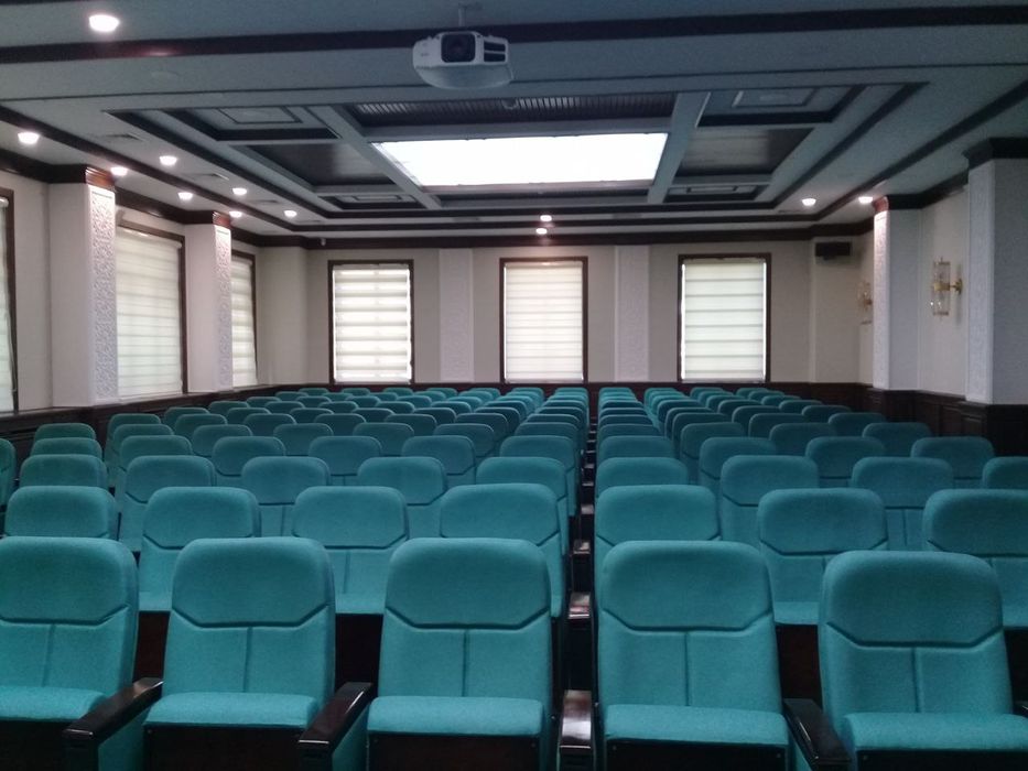 Театральные сиденья с подлокотниками