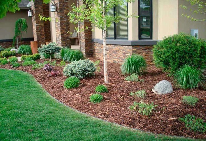 Кора лиственницы