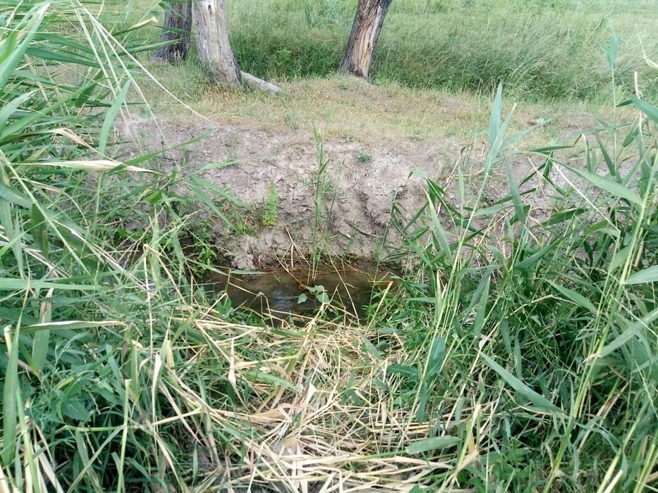 Продам или сдам в аренду участок