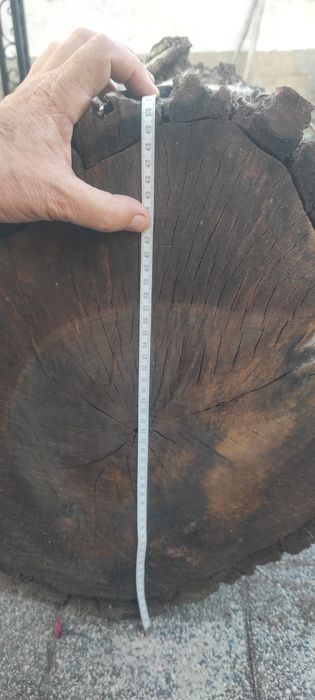 Продавам орех - дървесина / дървен материал