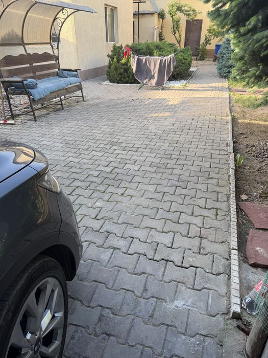 Брющатка бесплатно. Срочно