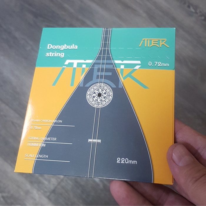 ТИЕК, ішек, құлақ