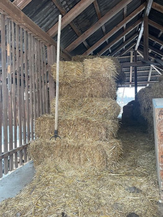 Vând baloți paie