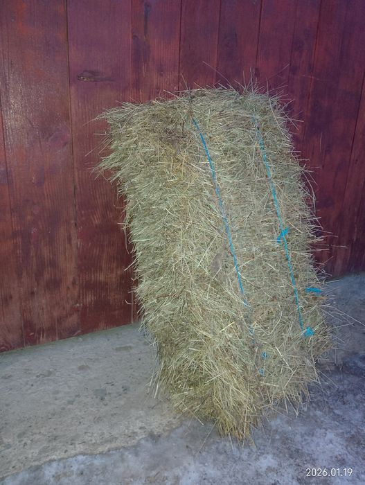 Vînd baloți de fîn  2025