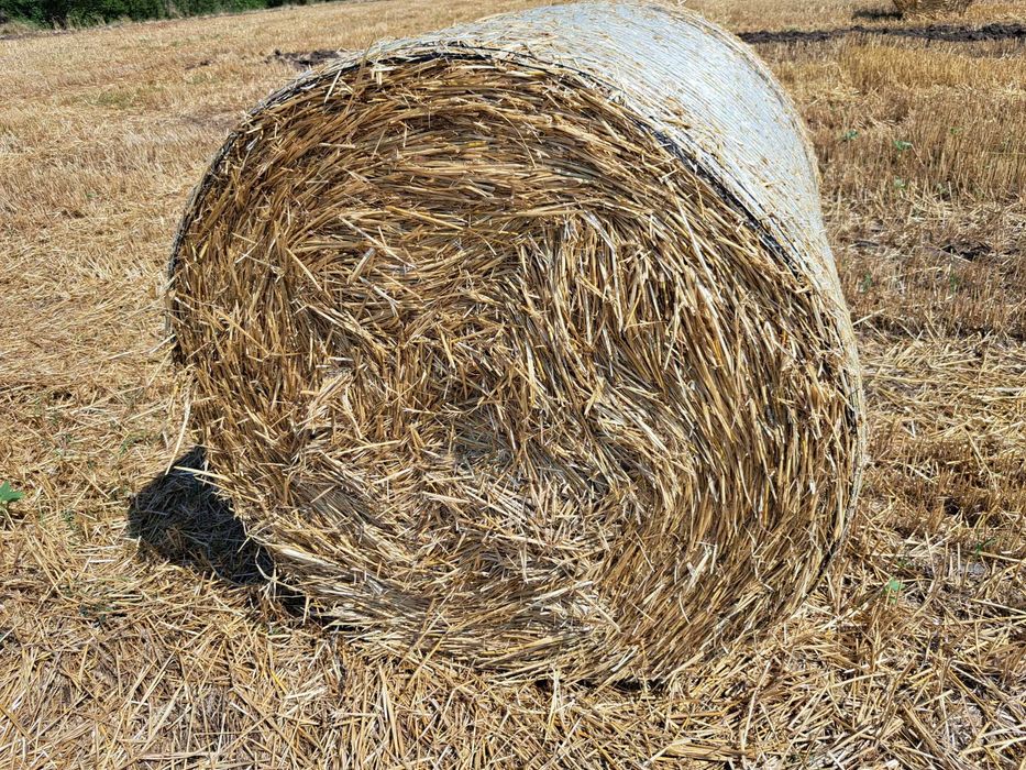 Baloti paie de grau
