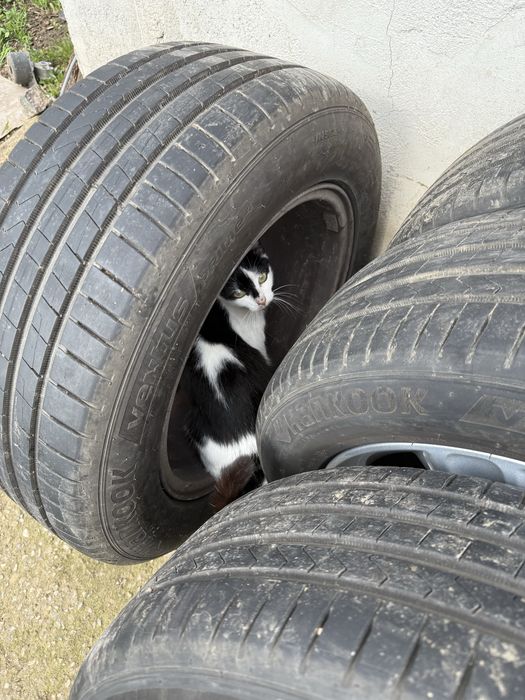 Vand roti vara Ford Kuga mk2