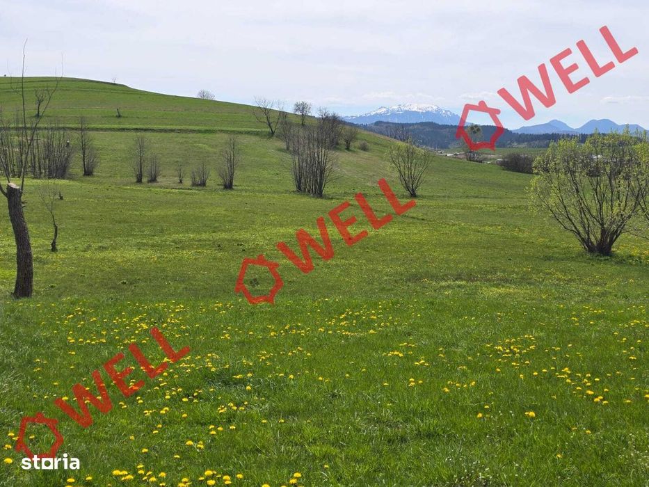 De vânzare teren extravilan în Sărămaș!