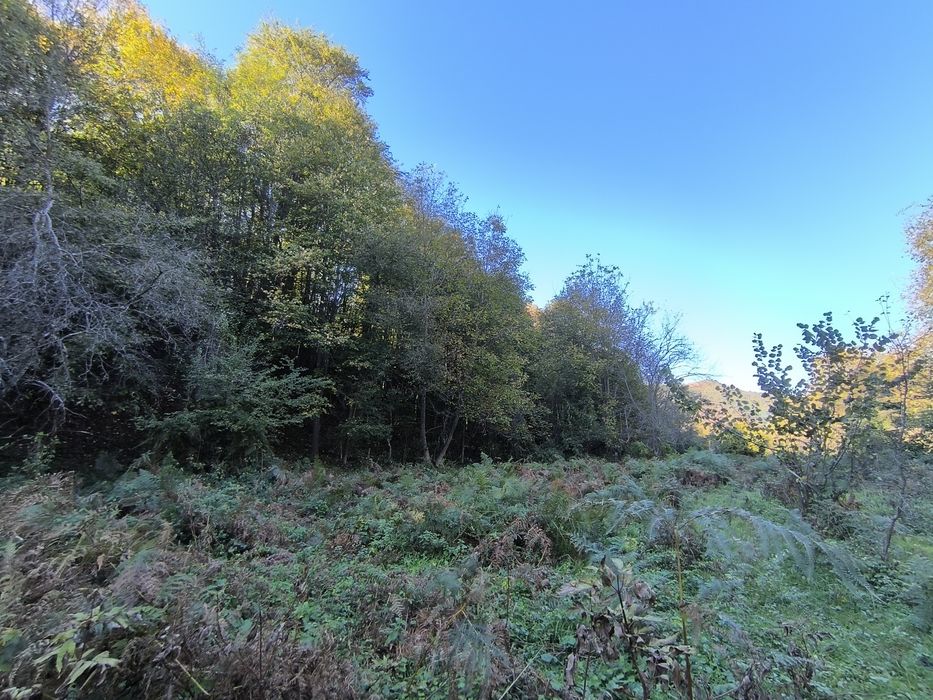 Продава се Парцел в с. Черни Осъм, Област Ловеч - 3150 кв.м за 3 €/кв.м - Снимка #3