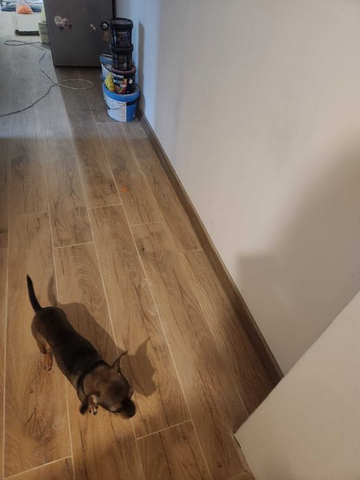 Gresie faianta Aurora Honey tip parchet 20x120