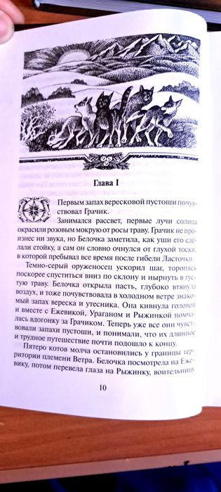 Коты воители. Рассвет