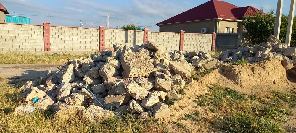 Блужник тасы бар
