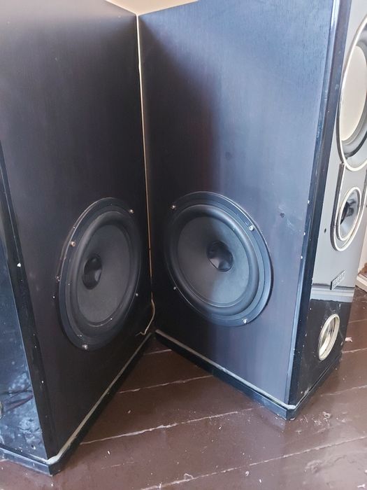 Колонки с с встроенным усилителем.