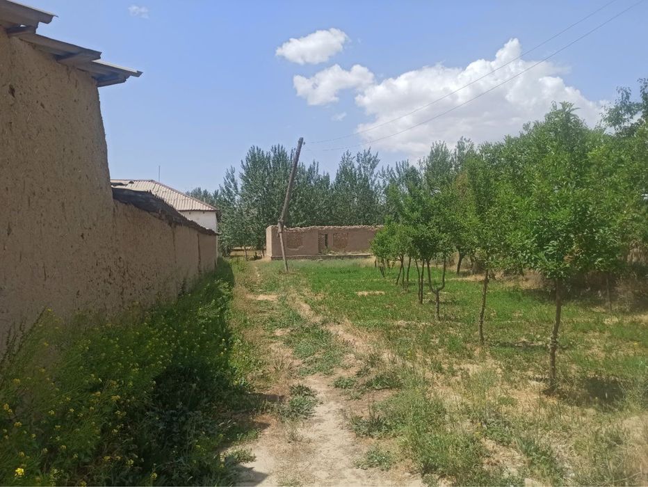 Кошработ туманида 30/35 сотхли ер сотилади 35000$ келишилади