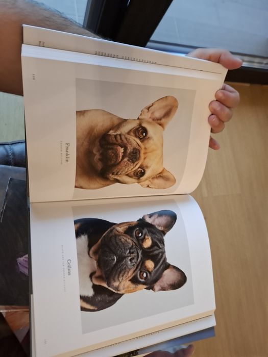 Album foto Good Dog: A Collection of Portraits
Author Randal Ford, For