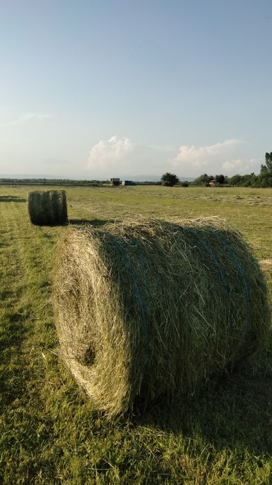 Vând baloți fân otavă si lucerna  120 × 120
