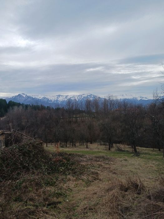 Продава се Парцел в Севлиево - 1000 кв.м за 12 €/кв.м - Снимка #2