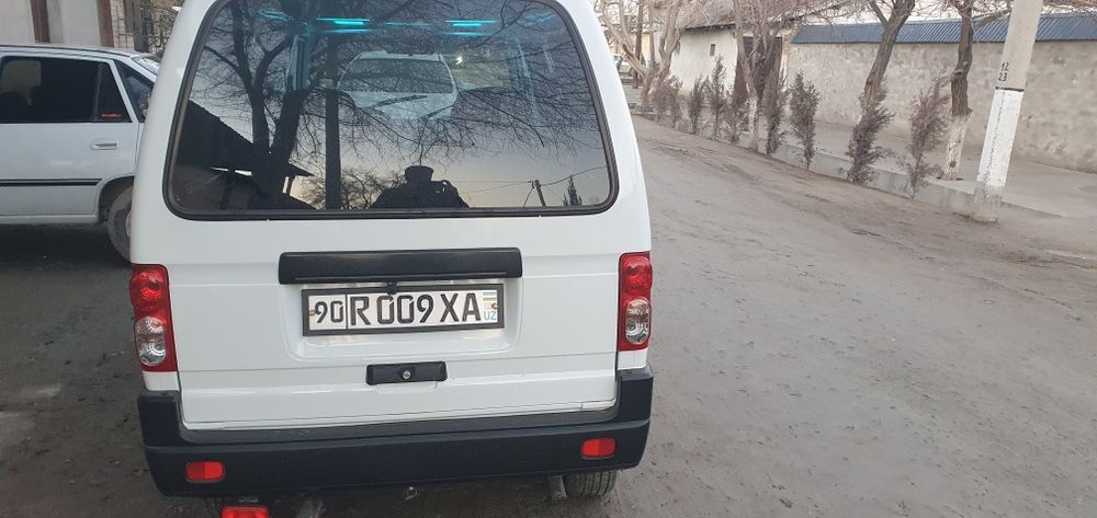 2024 yil damos radnoy navorot qilinga