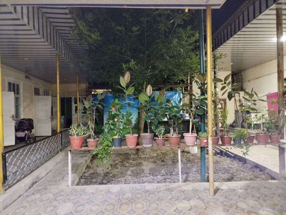 Сергели Бобур махаллада ховли сотилади