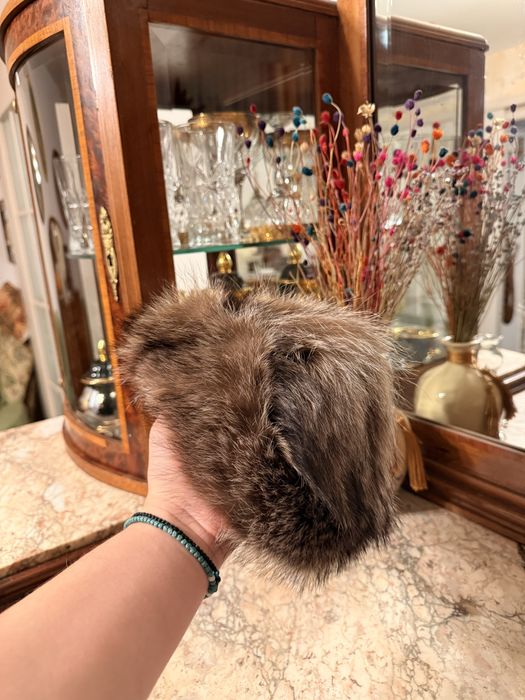 Caciula blana de raton