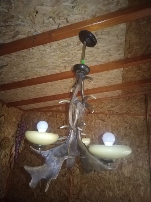Ръчно изработен таванен полилей от 5 броя еленски рога. 
Нестандартен,