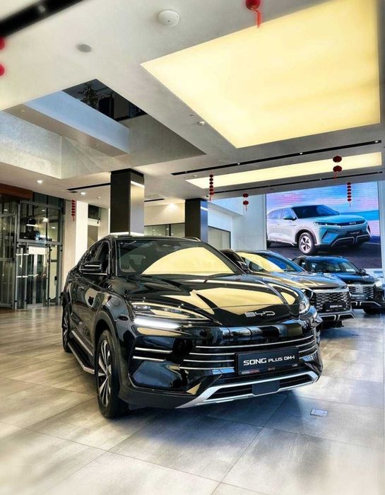 BYD Champion New 2025_26 Black