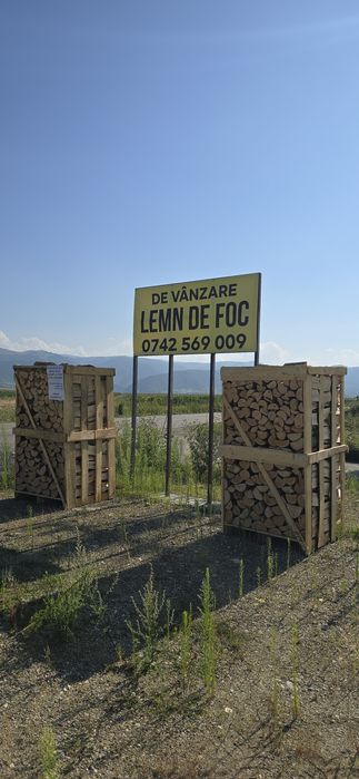 Lemn foc Fag paletizat 800 lei paletu