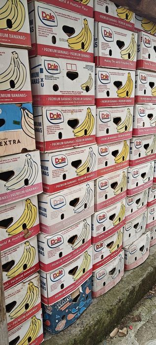 Кашони от банани