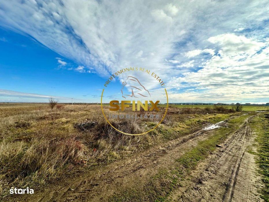 LOT de casa Tartasesti Primarie | teren cu potential