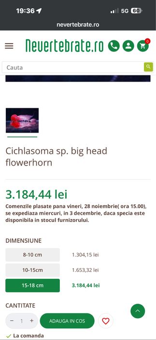 Vând peste Cichlasoma sp. big head flowerhorn