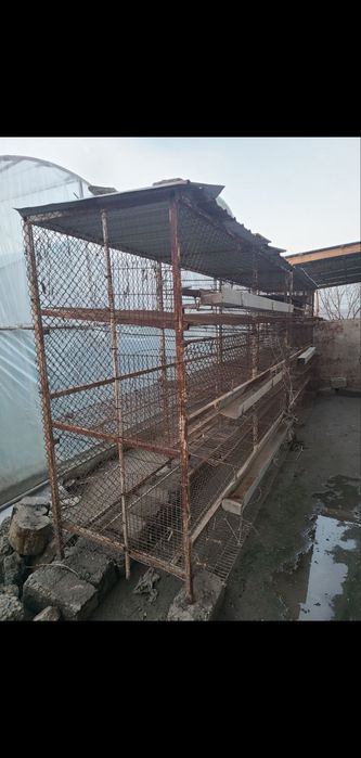 Товук катаклари сотилади нари 2500 дан