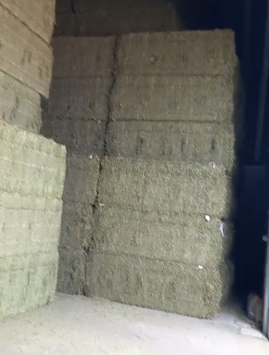 Vand Baloti de lucerna loco Braila