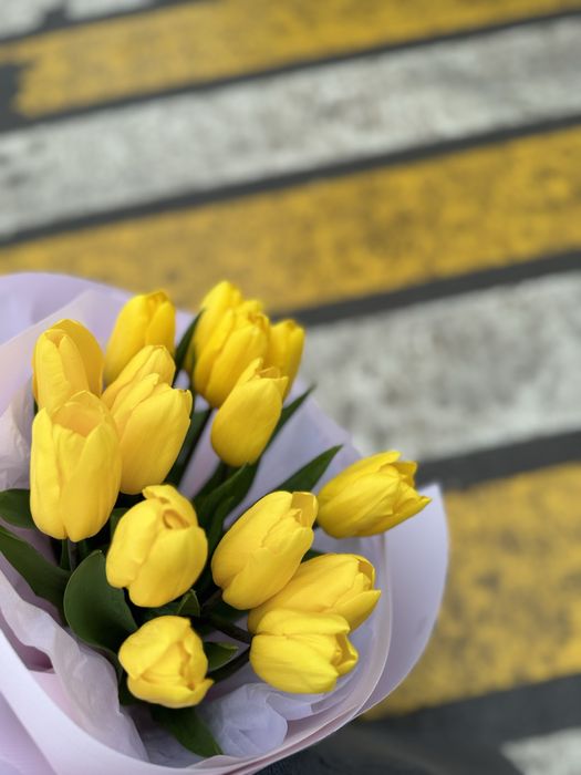 Бу цветы тюльпан