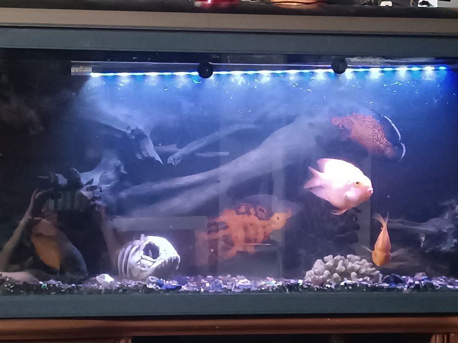 Аквариум  Jebo 300 литров