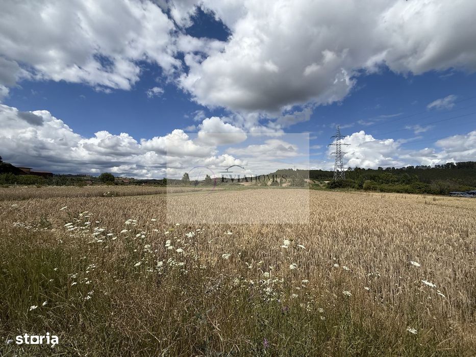 Parcele pt casa / com Savadisla / drumul Finiselului