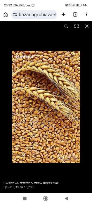 Продавам,пшеница