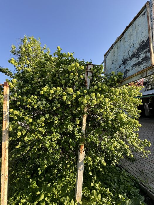 Продается частный Дом